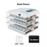Couveuse à batterie 12 volts Couveuse intelligente 36 œufs entièrement automatique pour poussins à couver