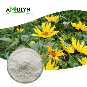 Bubuk <span class=keywords><strong>Inulin</strong></span> Bubuk Synanthrin Yerusalem Artichoke Dalam Stok - Product Image 3