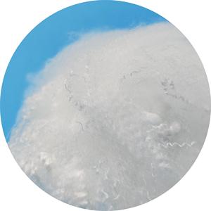 Trinh Nữ rắn nhồi chất liệu polyester STAPLE sợi - Product Image 5