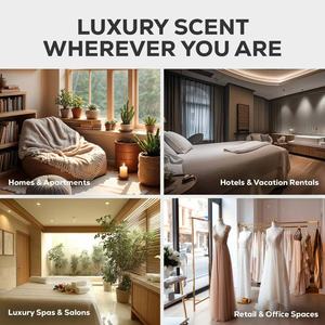 น้ำมันหอมระเหยสำหรับก้านไม้หอม กลิ่นเบอร์กามอต น้ำมันหอมระเหยแบบโคโลญจน์ สำหรับติดช่องแอร์ สารสกัดจากพืชธรรมชาติ รับผลิตแบบ OEM/ODM กลิ่นหอมตามสั่ง - Product Image 6