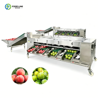 Automatische elektronische fruit sorteermachine voor het sorteren van uien en tomaten