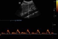 Mindray-Sonda multifrecuencia de ultrasonido para uso veterinario, peso ligero, B/W, precios baratos de fábrica, de mano