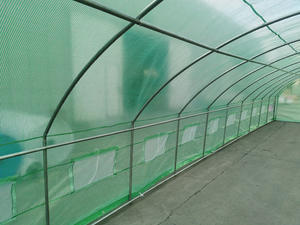 Serra a Tunnel Monocampata 10x4x2m per Agricoltura - Product Image 3