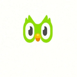 Compte Premium Duolingo Pro Edu 1 an Applicable dans le monde entier Activez votre propre compte - Product Image 2