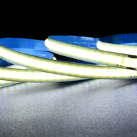 Bande LED haute tension AC220V 8mm 240 LED/m 10W/m 6000K Blanc froid CRI70 Ra70 Bande COB flexible Lumière linéaire