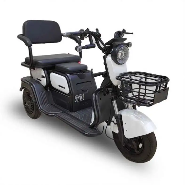 Hot Sell 12-Pipe Trike Electric Delivery Tricycles For The Passenger Adult