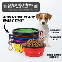 Bol pliable pour chien en Silicone, Logo personnalisé, bols pour animaux de compagnie, voyage