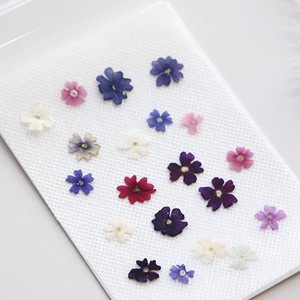 <span class=keywords><strong>Fleur</strong></span> de <span class=keywords><strong>verveine</strong></span> séchée MNR1992 pour la fabrication de bijoux en résine époxy, les créations artisanales pour enfants, les signets, les spécimens végétaux - Product Image 5