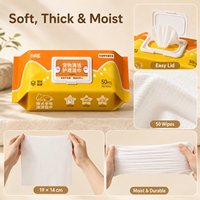 Lingettes nettoyantes pour animaux de compagnie de marque personnalisée, désodorisantes, épaisses, humides, pour le nettoyage quotidien des chats et des chiens, lingettes pour les pattes, le corps et le derrière