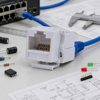 Module réseau Cat5e RJ45 UTP Keystone Jack pour plaque murale LAN 8700