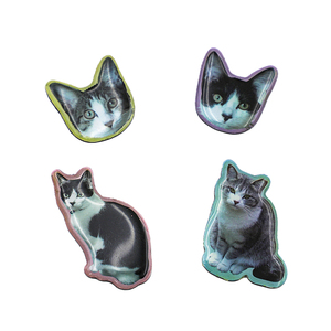 เข็มกลัดรูปสัตว์น่ารัก โฮโลแกรม น้ำหนักเบา ลายแมว ลูกสุนัข สัตว์ต่างๆ สำหรับติดปกเสื้อ ของที่ระลึกจากสวนสัตว์และสวนสนุก - Product Image 2