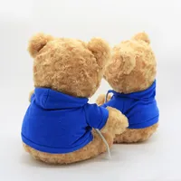 Aangepaste Oem Knuffel Teddybeer Knuffel Met T-shirt Klassieke Knuffeldier Teddybeer Knuffel