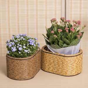 Rattan Woven <b>Flower</b> Pots Handmade Indoor Desktop Planters <b>For</b> <b>Flower</b> Green Plant Storage <b>Baskets</b> - Product Image 1