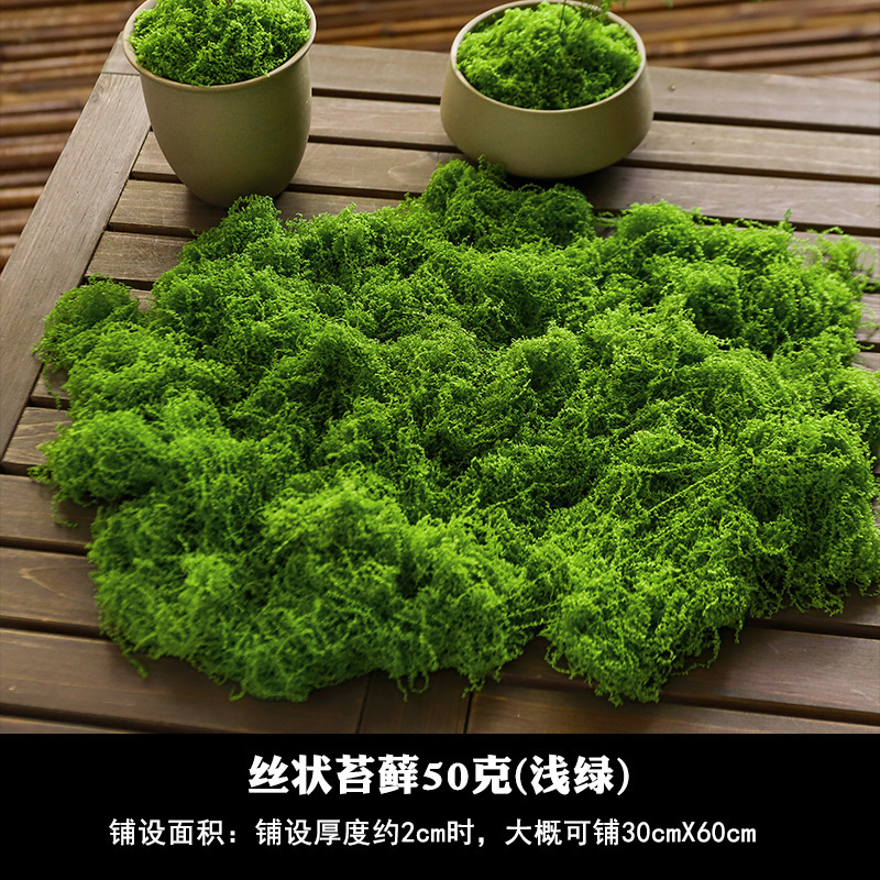 [Mejorado] Musgo filamentoso verde claro 50g