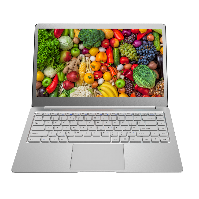 13.3 Inch Portable 1080P FHD USB-C Laptop Monitor 13" Computer Display Gaming Monitor Screen for Laptop PC MAC Phone PS4 Xbox