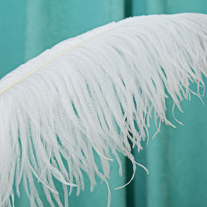 Spot vente en gros en vrac 35-80 <span class=keywords><strong>cm</strong></span> grands pôles panache <span class=keywords><strong>plumes</strong></span> <span class=keywords><strong>d</strong></span>'<span class=keywords><strong>autruche</strong></span> blanches pour la fête de mariage artisanat et <span class=keywords><strong>d</strong></span>écoration de la maison - Product Image 2