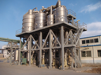 Productielijn voor vacuümverdampingsconcentratiemachines voor tomatenpuree, 2026
