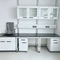 Table de laboratoire en acier laminé à froid avec structure en acier, durable, pour laboratoire clinique