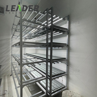 Équipement de plantation, support en profilé d'aluminium multicouche, système hydroponique à flux et reflux, table de culture à plateau de 4x8, bac à semis