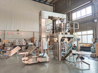 Machine d'emballage verticale automatique Weeshine WPV200 pour sel et sucre en sachets de 200g à 1kg à bas prix