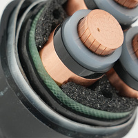 YJV YJV22 YJV32 4-adrig 50mm X 3-adrig 70mm 95mm 120mm 0,6/1KV Kupfer XLPE PVC-Mantel IP67-Zertifiziert Unterirdisches Stromkabel