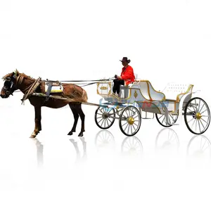 Electric horse-drawn carriage/double-row royal carriage/tourist car