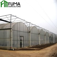 Jual FM Rumah Kaca Terraced Rumah Kaca Multi-span Menumbuhkan Herbal Medis