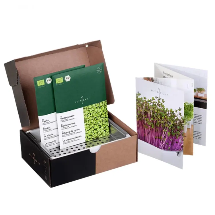 Vassoio di germinazione in ceramica kitchen garden Microgreens Plant Starter Kit