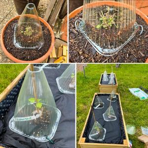 Cloches de jardin réutilisables vertes transparentes couverture de cloche de plante cloches de pot de cloche de serre pour la Protection contre les escargots de gel de soleil - Product Image 2