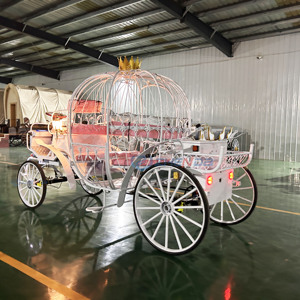Boda de cuento de hadas en blanco y negro con la novia entrando en una soñadora carruaje de calabaza con temática de <span class=keywords><strong>Cenicienta</strong></span>, <span class=keywords><strong>completa</strong></span> con luces. - Product Image 4
