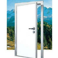 Porte simple en acier, propre, sans poussière, étanche, résistante au feu, design moderne pour atelier, hôpital, laboratoire, usage industriel