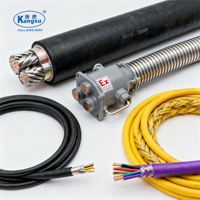 Câble d'alimentation certifié ROHS comme prise SJTW IEC C13 5-15P 18AWG 3 broches 10A 13A 15A pour ordinateur et appareils électroménagers