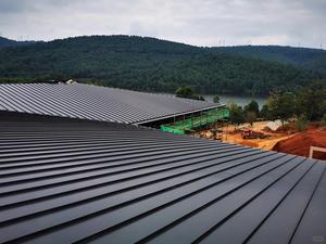 पारंपरिक 24 गेज गैल्वेनाइज्ड गर्मी प्रतिरोधी छत पैनल सीधे सीम रंग-लेपित एल्यूमीनियम प्लेट 360 डिग्री मंदिर अपार्टमेंट - Product Image 5