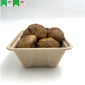 Service personnalisé biodégradable écologique canne à sucre Bagasse pâte champignon plateau conteneur pour supermarché
