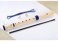 Starway Wholesale 6 8 Hole Style ABS Plastic Student Flute Recorder for Promotion Musical Instrument for Gift