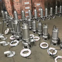 Pompa Submersible Stainless Steel 304 316 untuk Pengolahan Air Limbah Kota dan Pembuangan Limbah Laut