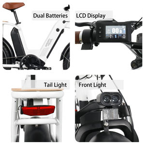 <span class=keywords><strong>2023</strong></span> Offre Spéciale Cargo Ebike 750w Fat Wheel Vélo électrique parfait pour la famille et les déplacements - Product Image 2