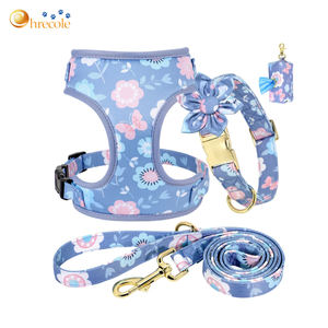 デザイナーパーソナライズカスタムパッド調節可能ペットアクセサリーハーネス小型犬の首輪ハーネスセット高級 - Product Image 3