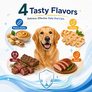 Suplemento Dental en Gel para Perros, Elimina el Sarro, Refresca el Aliento, Limpia los Dientes, Cuidado Bucal, Disponible en Stock - Product Image 3