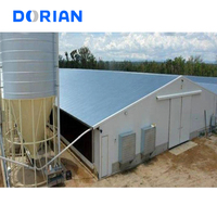 Hangars pour poulets de chair modernes Kit de poulaillers Préfabriqués en acier à plusieurs niveaux pour la volaille