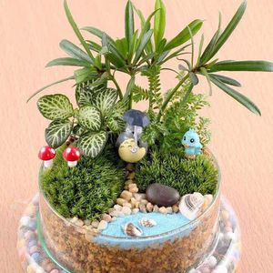 Moos-Mikrolandschaft Glasglocke Vase Sukkulenten Farn Moos Display Luftpflanzen Terrarium mit Sockel für Heimdekoration - Product Image 5