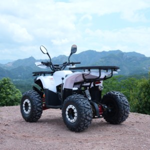 Quad 125cc fabriqué en Chine pour le tout-terrain - Product Image 2