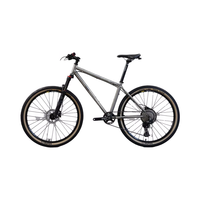 Chine usine 29er titane vtt vélo qualité garantie adulte VTT avec 12 vitesses Bicicleta conception légère
