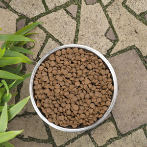 Alimento Seco para Gatos con Sabor a Salmón, Ecológico, Sin Granos y Alto en Proteínas, 1 kg, Venta al por Mayor - Product Image 1