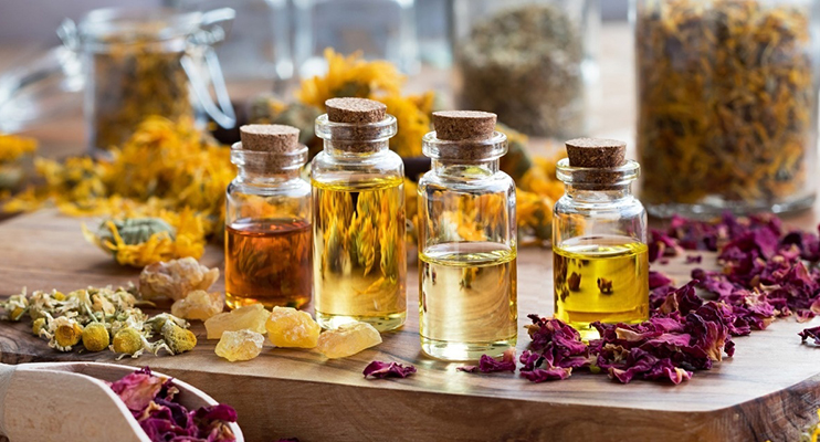 Mucosal Tissue Benefit Pure Organic Essential Oils Pure Tomato Seed Essential Oil