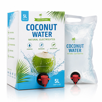 Sac de 5L personnalisé imprimé pour eau de coco en boîte, emballage de boisson avec robinet, distributeur de liquide alimentaire de qualité alimentaire