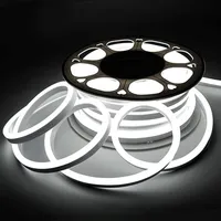 Lumière néon LED colorée/variée à intensité variable, 10 m, corps en silicone résistant, certifiée CE, pour la décoration de fête et les logos néon
