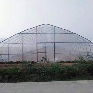 Película de polietileno de alta calidad, estructura Simple y económica, <span class=keywords><strong>casa</strong></span> verde - Product Image 4