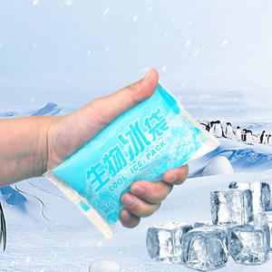 แผ่นเจลเย็นชีวภาพ 13.5x9.5 ซม. สำหรับการขนส่งแบบควบคุมอุณหภูมิ รักษาความสดของอาหาร ใช้ซ้ำได้ - Product Image 1