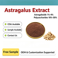Poudre d'Astragalus Membranaceus Extrait Herbal Astragaloside Cycloastragenol Saponines - Qualité Alimentaire Fourniture en Vrac Conditionnement en Fût/Boîte